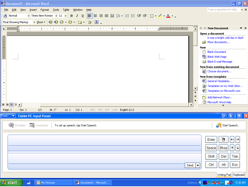 Software input panel